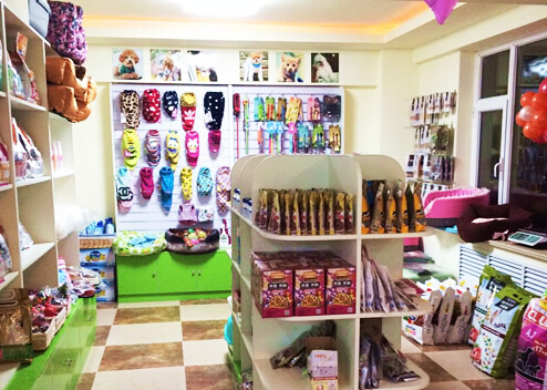 绵阳开宠物店多少钱