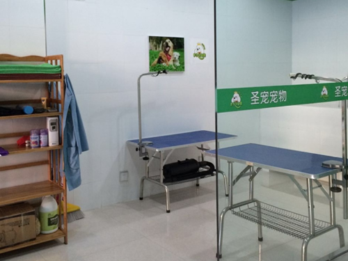 安顺宠物店连锁哪家好