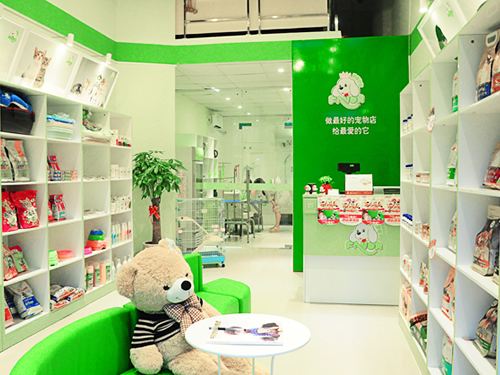 开宠物连锁店需要什么