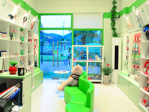 开宠物加盟店需要投资多少钱