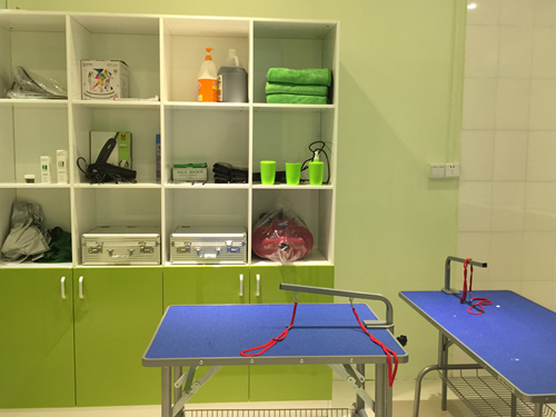 开宠物店赚钱快吗