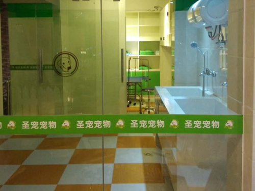 开宠物店赚钱吗