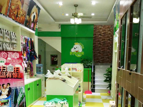 开宠物店赚钱吗
