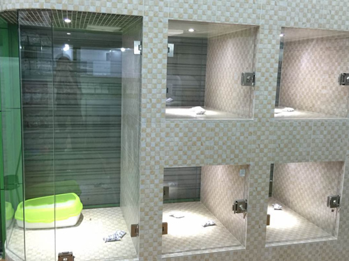 开家宠物店赚钱吗