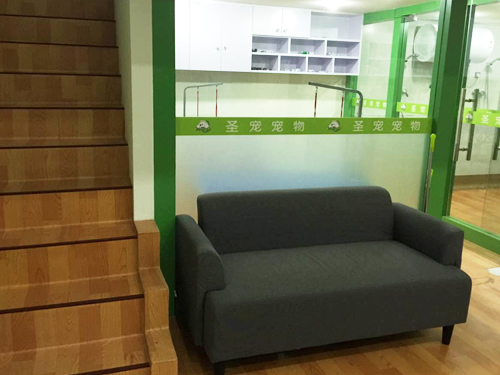 开家宠物店赚钱吗