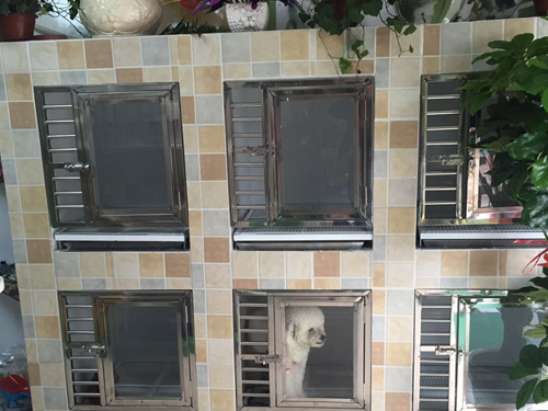 开家宠物店怎么样