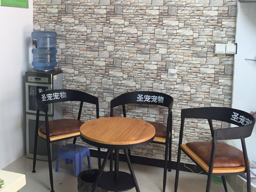 开家宠物店怎么样