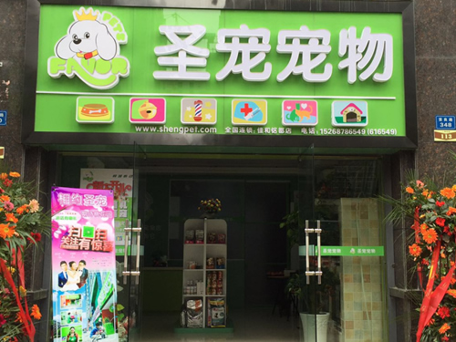 开家宠物店怎么样
