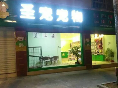 开个宠物店挣钱吗
