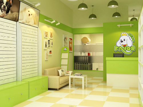 开宠物美容店赚钱吗？