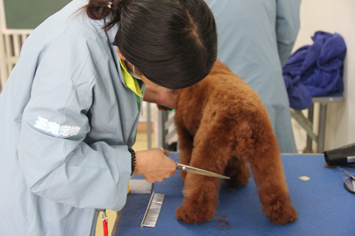 ��ʥ����ѵ����31�ڰ���Ȯʵ����ϰ