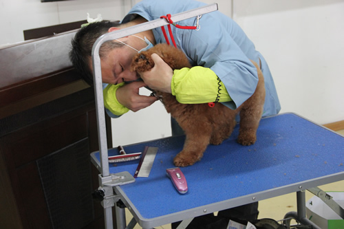 ��ʥ����ѵ����31�ڰ���Ȯʵ����ϰ