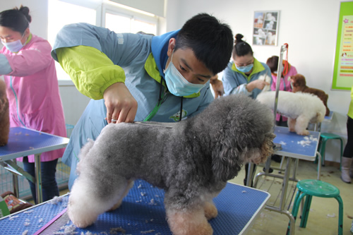 ��ʥ����ѵ����30��ѧԱ��25���ۺ�ʵ����ϰ