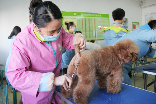 ��ʥ����ѵ����30��ѧԱ��25���ۺ�ʵ����ϰ