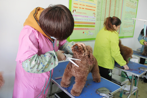 ��ʥ����ѵ����30��ѧԱ��25���ۺ�ʵ����ϰ