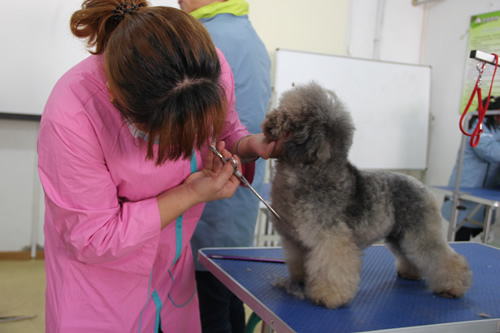 ��ʥ����ѵ����30��ѧԱ��25���ۺ�ʵ����ϰ