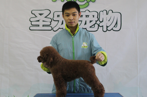 ��ʥ����ѵ����30��ѧԱ��25���ۺ�ʵ����ϰ