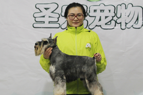 ��ʥ����ѵ����30�ڰ�ѩ��������ʵ����ϰ��