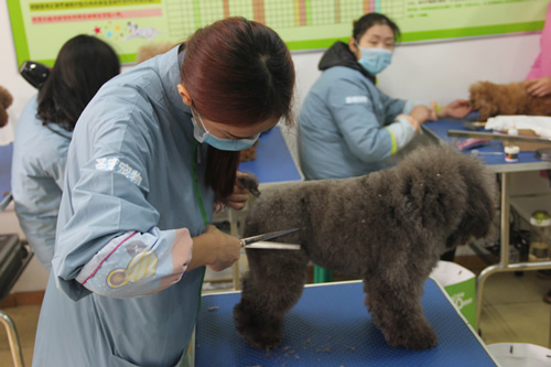 ��ʥ����ѵ����30�ڵ�23���ۺ�ʵ����ϰ