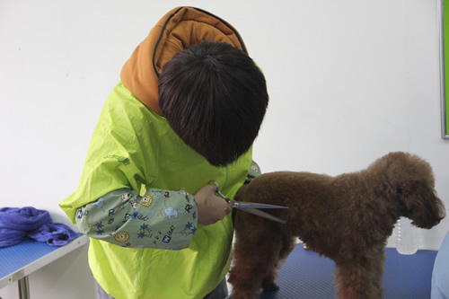 ��ʥ����ѵ����30�ڵ�23���ۺ�ʵ����ϰ