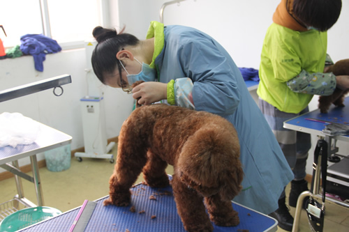 ��ʥ����ѵ����30�ڵ�23���ۺ�ʵ����ϰ