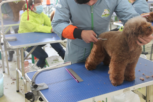 ��ʥ����ѵ����30��ѧԱ�ۺ�ʵ����ϰ