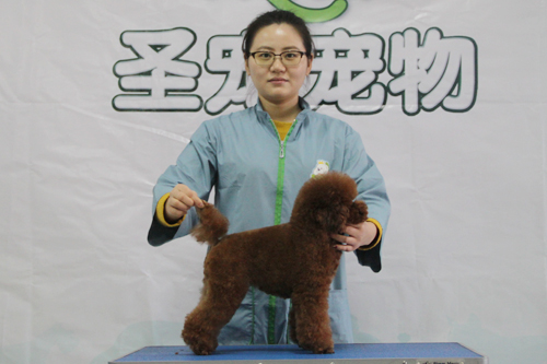 ��ʥ����ѵ����30��ѧԱ�ۺ�ʵ����ϰ