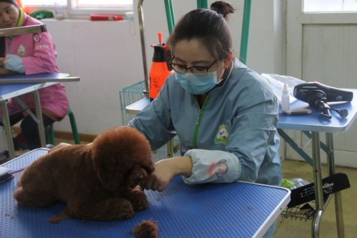 ��ʥ����ѵ����30��ѧԱ�ۺ�ʵ����ϰ