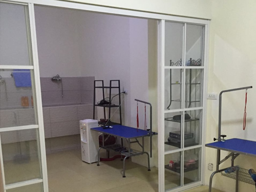 宠物店开店赚钱的原因