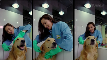 创业开宠物店怎么样