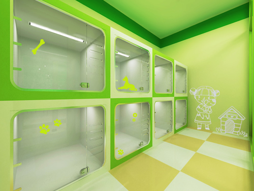 圣宠安徽广德宠物店装修效果图