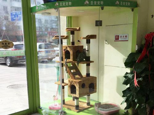 圣宠宠物郑州白庄宠物连锁店