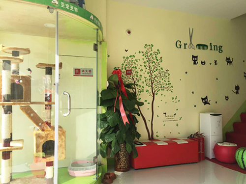 圣宠宠物郑州白庄宠物连锁店