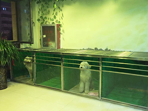 圣宠宠物郑州白庄宠物连锁店