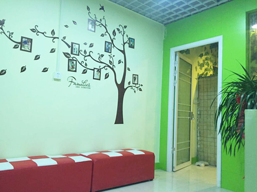 圣宠宠物郑州白庄宠物连锁店