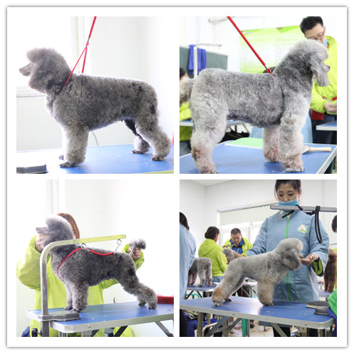 ʥ�����33�ڳ��������ۺϰ���ʵ��