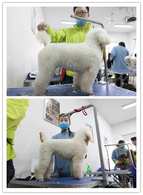 ʥ�����33�ڳ��������ۺϰ���ʵ��