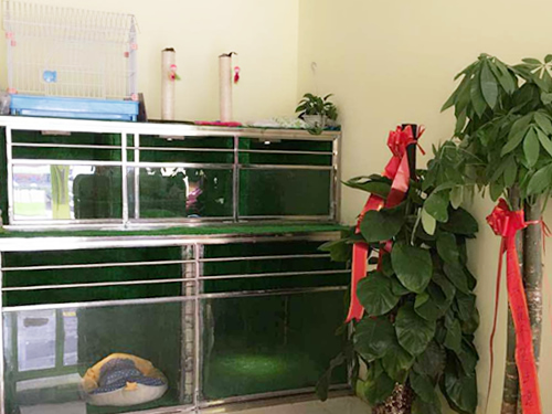 圣宠郑州白庄店寄养区