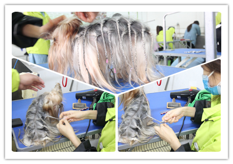 ��ʥ����ѵ����33�ڳ��������ۺϰ�Լ����ë������������