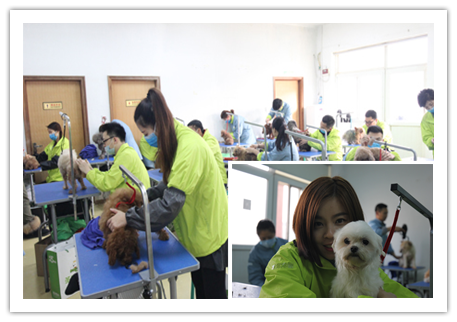 ��ʥ����ѵ����33�ڳ��������ۺϰ�ϴ����ë��ָ��