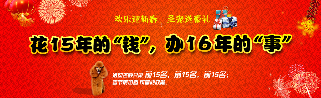 年前活动仅剩15名额！