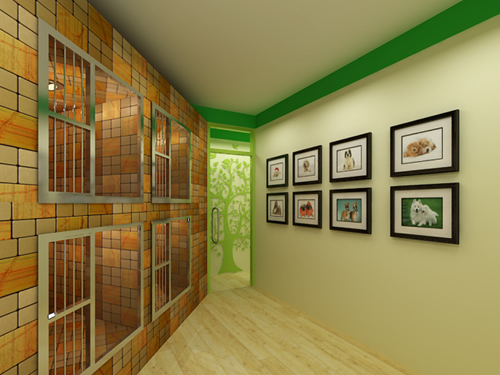 圣宠上海浦东金桥店装修效果图