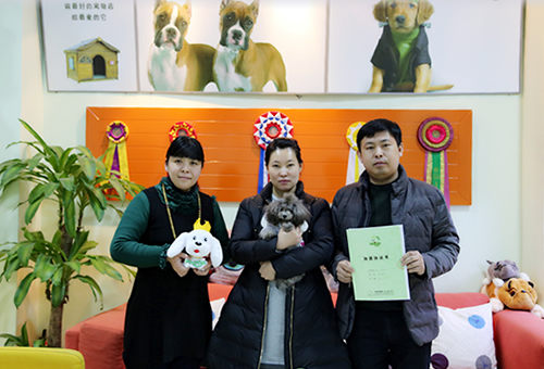 葫芦岛牟女士成功签约圣宠宠物连锁店