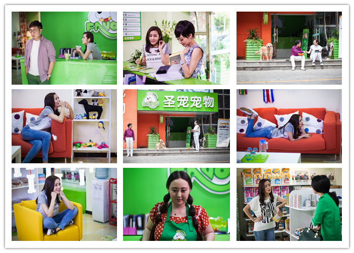 开一个小型的宠物店有利润吗