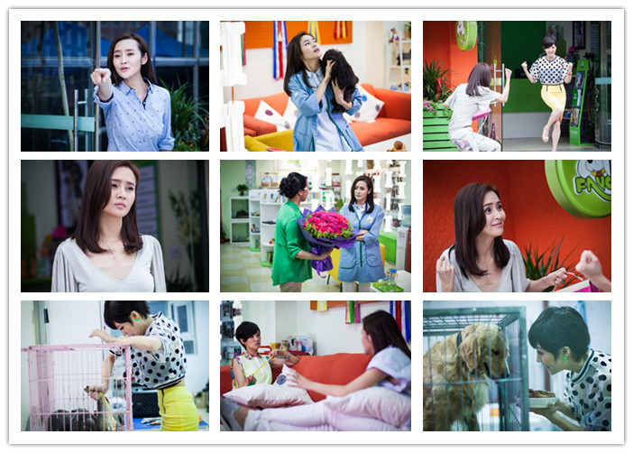 哪家宠物店连锁比较好