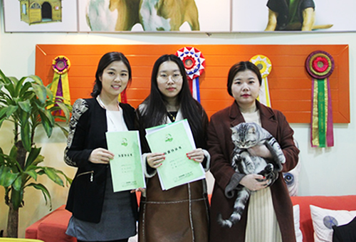 沈阳姜女士成功签约圣宠宠物连锁店
