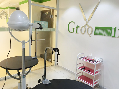 圣宠宠物上海浦东金桥店美容