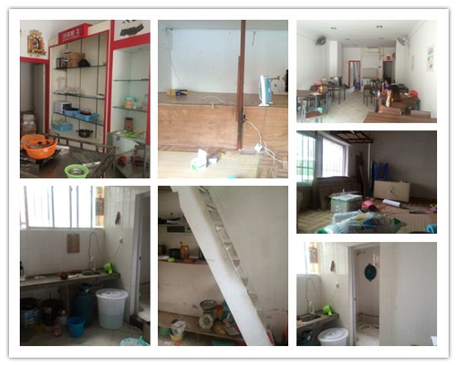 圣宠宠物海口海垦路连锁店选址服务