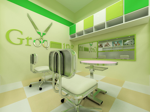 圣宠宠物贵阳美术阳光连锁店