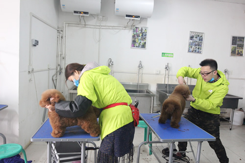 ʥ��33��ѧԱ�ۺ�ʵ����ϰ